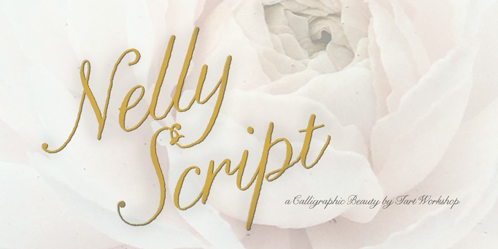 Nelly Script Family Complete